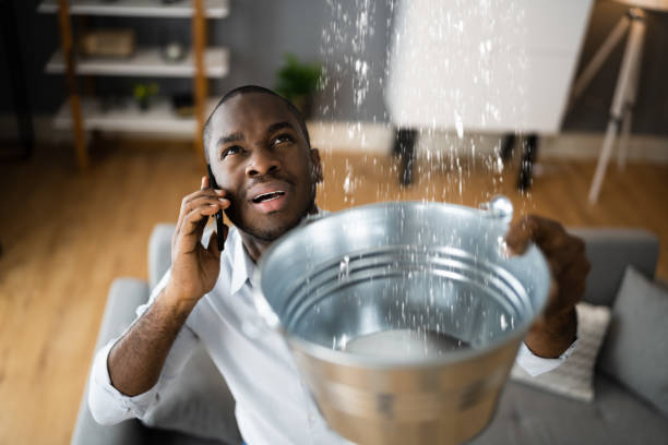 Best Mold removal after water damage  in Taylors Falls, MN