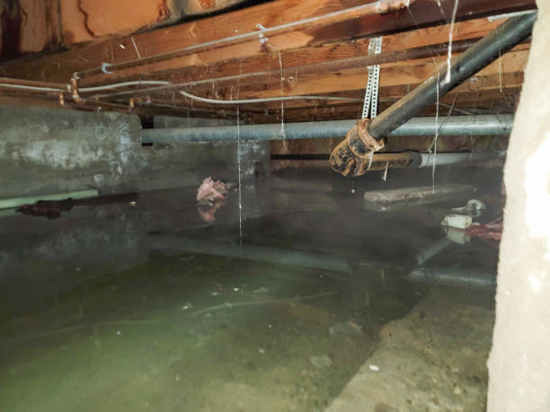 Best Water damage restoration near me  in Taylors Falls, MN