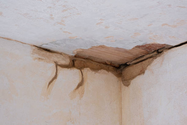 Best Carpet water damage restoration  in Taylors Falls, MN