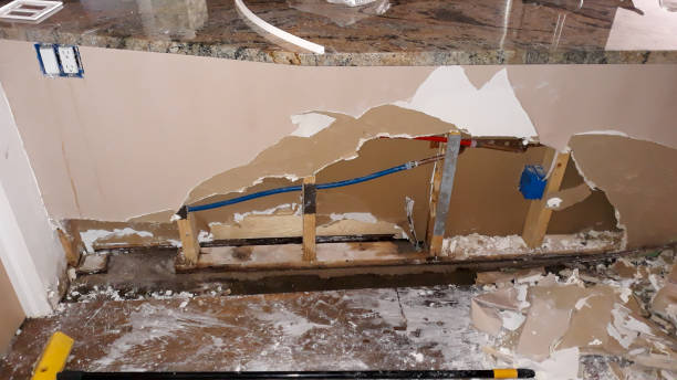 Best Commercial water damage restoration  in Taylors Falls, MN