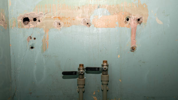 Best Mold removal after water damage  in Taylors Falls, MN
