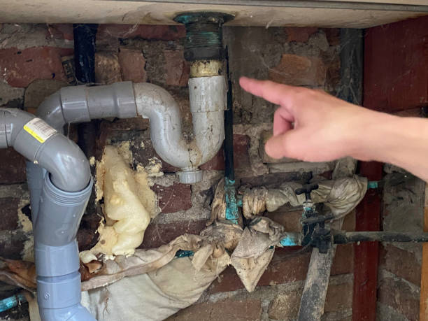 Best Sewage cleanup and water damage restoration  in Taylors Falls, MN