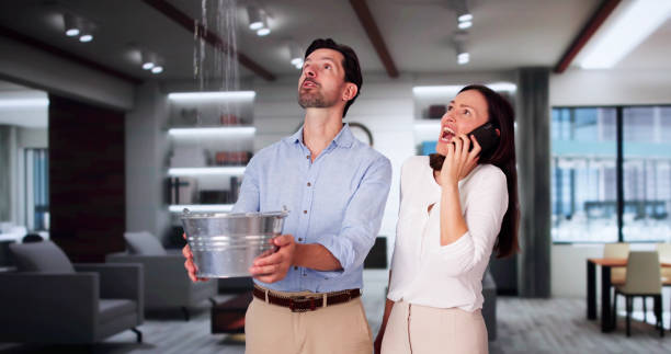 Best Professional water damage repair  in Taylors Falls, MN