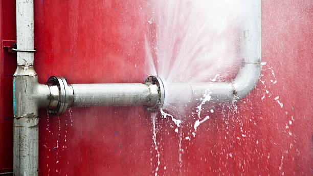 Best Water damage contractors near me  in Taylors Falls, MN